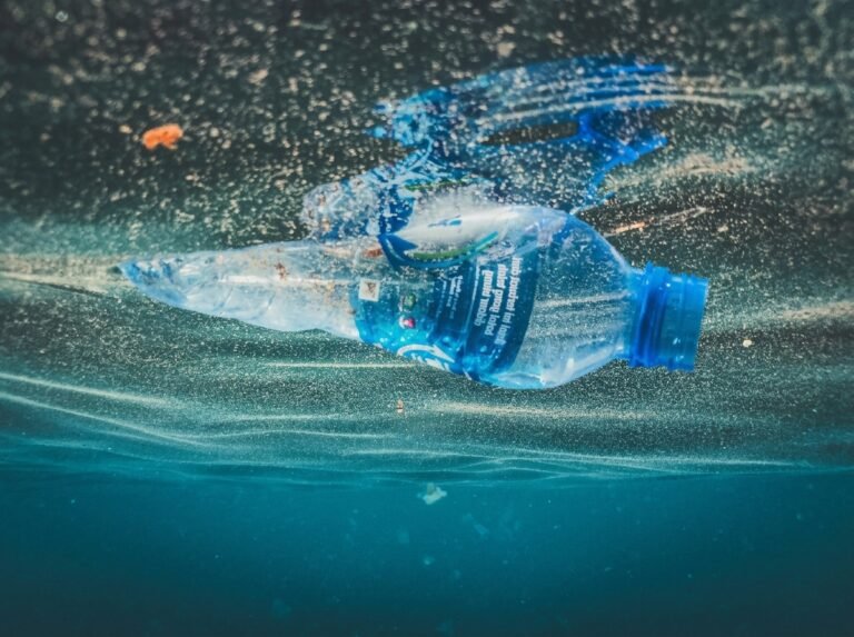 Microplastiques dans l&rsquo;alimentation : où ils se cachent vraiment